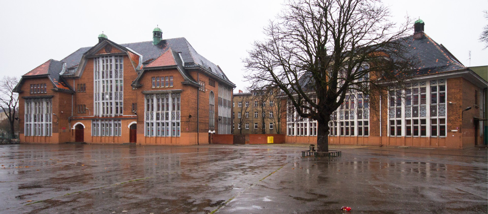 Szkoła - ul. Prądzyńskiego 53a