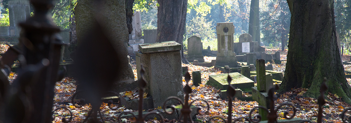 Cmentarze na Cytadeli