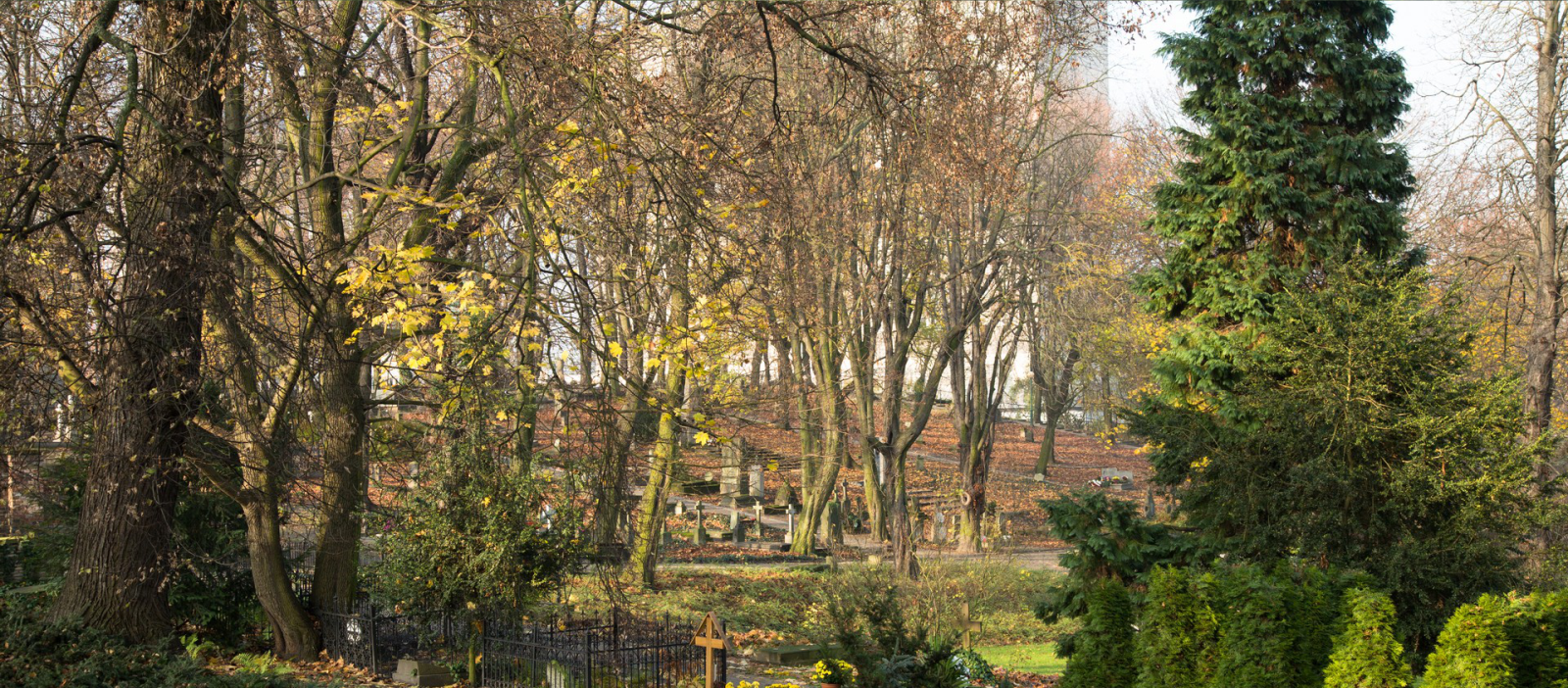 Cmentarz Zasłużonych Wielkopolan