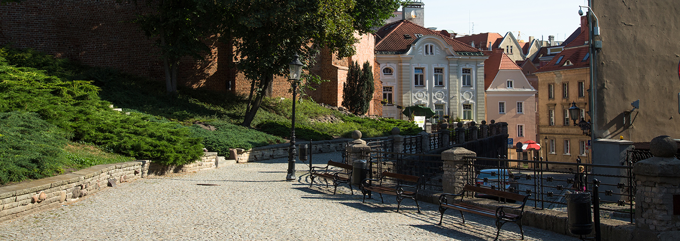 Ul. Góra Przemysła