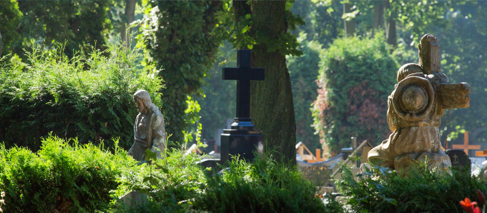 Cmentarz Bożego Ciała - ul. Bluszczowa