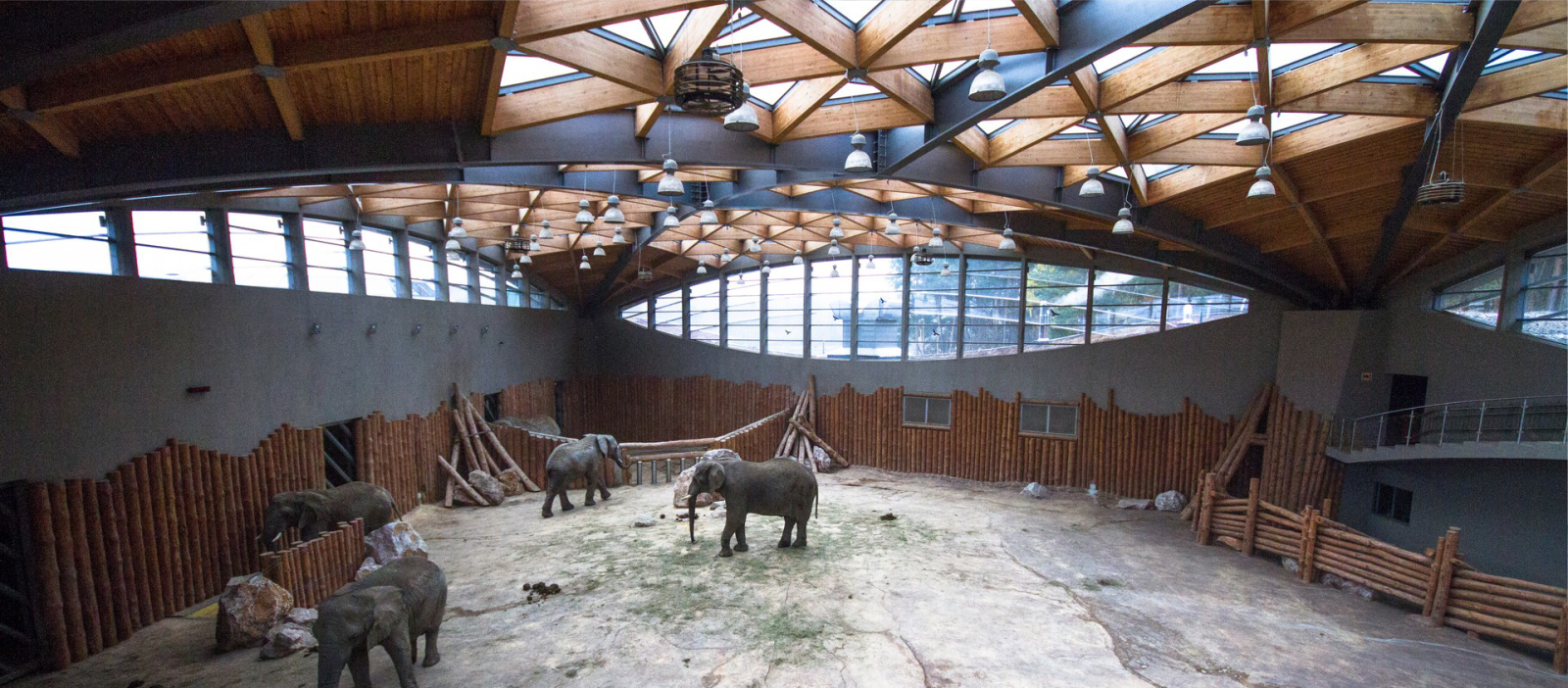 Nowe ZOO - Słoniarnia